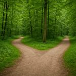 A serene forest scene showing a fork in the path, symbolizing choices and directions.